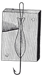 Иллюстрация к книге — Исконно русская рыбалка. Жизнь и ловля пресноводных рыб [i_157.jpg]