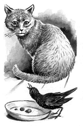 Иллюстрация к книге — Длиннохвостые разбойники [i_013.jpg]