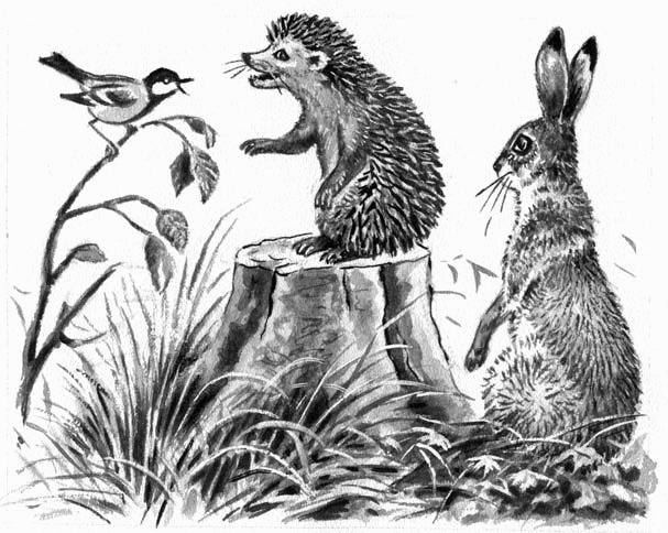 Иллюстрация к книге — Длиннохвостые разбойники [i_030.jpg]