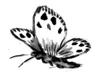 Иллюстрация к книге — Длиннохвостые разбойники [i_033.jpg]