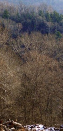 Иллюстрация к книге — Полосатая кошка, пятнистая кошка [i_038.jpg]