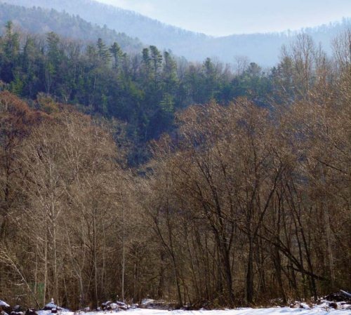 Иллюстрация к книге — Полосатая кошка, пятнистая кошка [i_039.jpg]