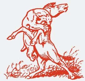 Иллюстрация к книге — Полосатая кошка, пятнистая кошка [i_047.jpg]