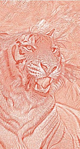 Иллюстрация к книге — Полосатая кошка, пятнистая кошка [i_120.jpg]