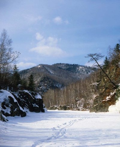 Иллюстрация к книге — Полосатая кошка, пятнистая кошка [i_124.jpg]