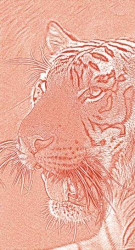 Иллюстрация к книге — Полосатая кошка, пятнистая кошка [i_129.jpg]