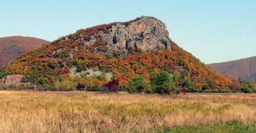 Иллюстрация к книге — Полосатая кошка, пятнистая кошка [i_144.jpg]