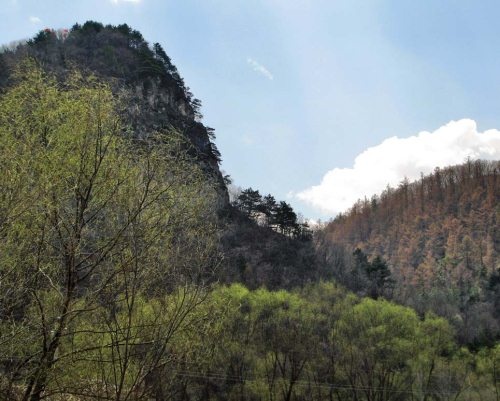 Иллюстрация к книге — Полосатая кошка, пятнистая кошка [i_163.jpg]