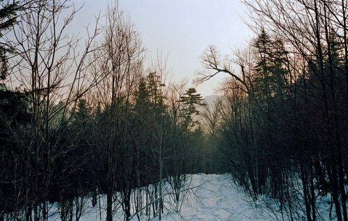 Иллюстрация к книге — Полосатая кошка, пятнистая кошка [i_166.jpg]