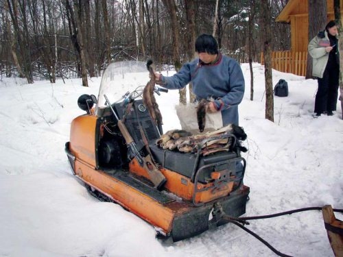 Иллюстрация к книге — Полосатая кошка, пятнистая кошка [i_171.jpg]