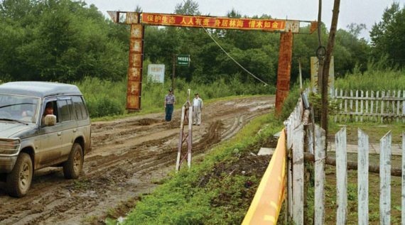 Иллюстрация к книге — Полосатая кошка, пятнистая кошка [i_174.jpg]