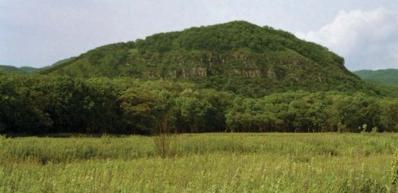 Иллюстрация к книге — Полосатая кошка, пятнистая кошка [i_180.jpg]