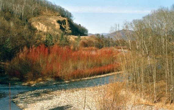 Иллюстрация к книге — Полосатая кошка, пятнистая кошка [i_185.jpg]