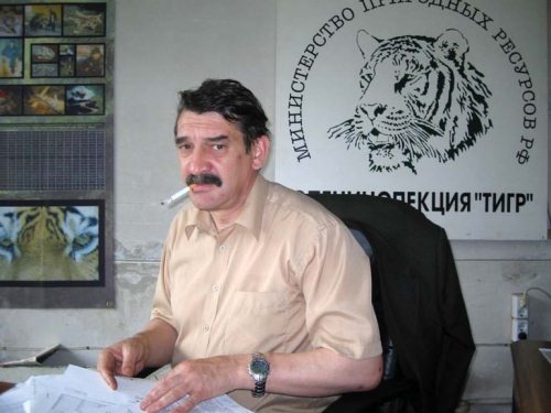 Иллюстрация к книге — Полосатая кошка, пятнистая кошка [i_187.jpg]