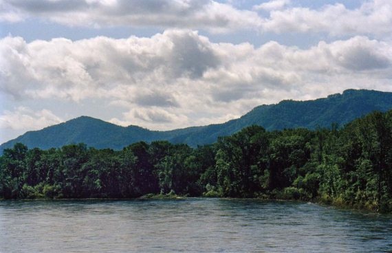 Иллюстрация к книге — Полосатая кошка, пятнистая кошка [i_190.jpg]