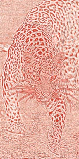 Иллюстрация к книге — Полосатая кошка, пятнистая кошка [i_195.jpg]