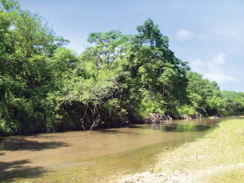 Иллюстрация к книге — Полосатая кошка, пятнистая кошка [i_203.jpg]