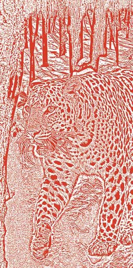 Иллюстрация к книге — Полосатая кошка, пятнистая кошка [i_262.jpg]