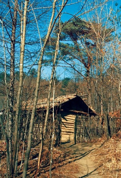 Иллюстрация к книге — Полосатая кошка, пятнистая кошка [i_269.jpg]