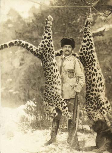 Иллюстрация к книге — Полосатая кошка, пятнистая кошка [i_270.jpg]