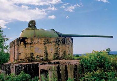 Иллюстрация к книге — Полосатая кошка, пятнистая кошка [i_281.jpg]