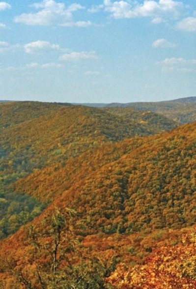 Иллюстрация к книге — Полосатая кошка, пятнистая кошка [i_288.jpg]