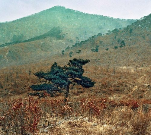 Иллюстрация к книге — Полосатая кошка, пятнистая кошка [i_291.jpg]