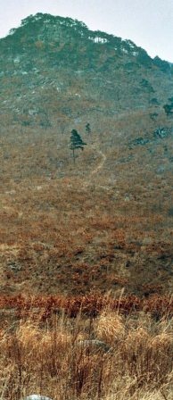 Иллюстрация к книге — Полосатая кошка, пятнистая кошка [i_292.jpg]