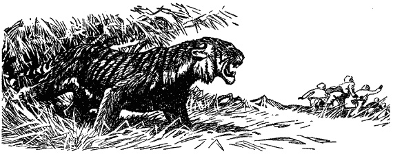 Иллюстрация к книге — Кумаонские людоеды [i_003.jpg]