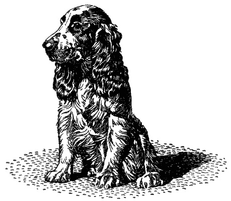 Иллюстрация к книге — Кумаонские людоеды [i_008.jpg]