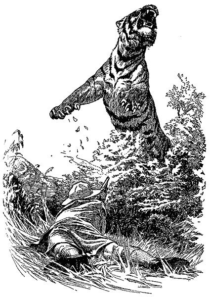 Иллюстрация к книге — Кумаонские людоеды [i_014.jpg]