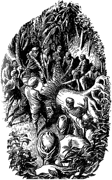 Иллюстрация к книге — Кумаонские людоеды [i_018.jpg]