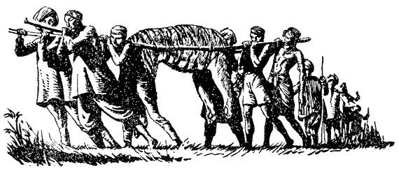 Иллюстрация к книге — Кумаонские людоеды [i_030.jpg]