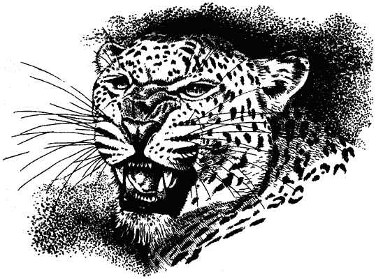 Иллюстрация к книге — Наука джунглей [i_005.jpg]