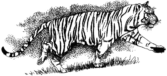 Иллюстрация к книге — Наука джунглей [i_010.jpg]