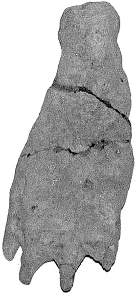 Иллюстрация к книге — Мифы о Древней Руси. Историческое расследование [_132.jpg]