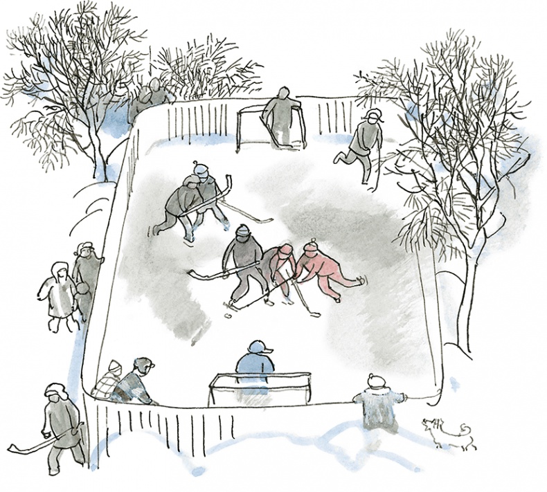 Иллюстрация к книге — «Стрижи» на льду [i_004.jpg]