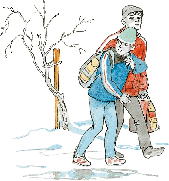 Иллюстрация к книге — «Стрижи» на льду [i_027.jpg]