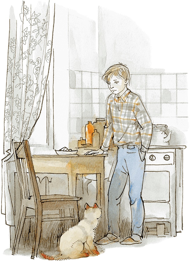 Иллюстрация к книге — «Стрижи» на льду [i_030.jpg]