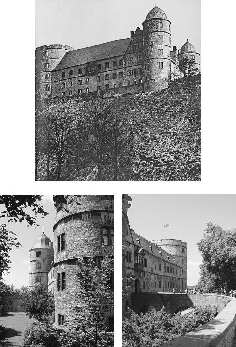 Иллюстрация к книге — Орден СС. Иезуиты империи. О чем не принято говорить [_10.jpg]