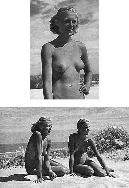 Иллюстрация к книге — Орден СС. Иезуиты империи. О чем не принято говорить [_23.jpg]