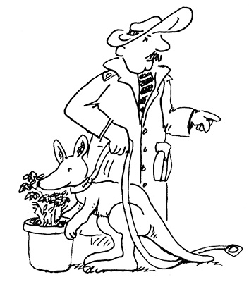 Иллюстрация к книге — Субастик, дядюшка Элвин и кенгуру [i_031.jpg]