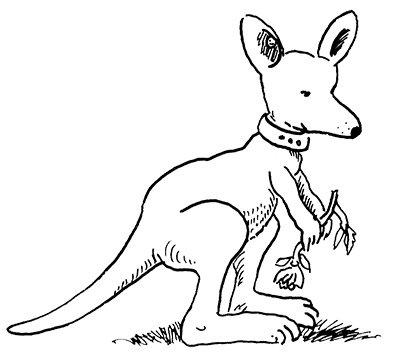 Иллюстрация к книге — Субастик, дядюшка Элвин и кенгуру [i_048.jpg]