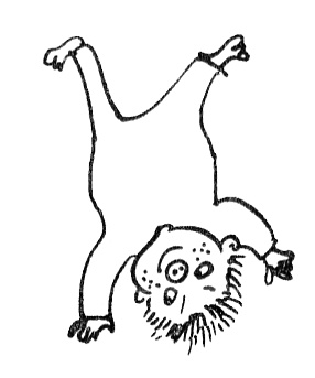 Иллюстрация к книге — Субастик, дядюшка Элвин и кенгуру [i_077.jpg]