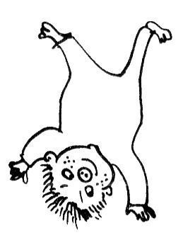 Иллюстрация к книге — Субастик, дядюшка Элвин и кенгуру [i_080.jpg]