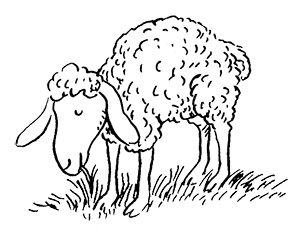 Иллюстрация к книге — Субастик, дядюшка Элвин и кенгуру [i_147.jpg]