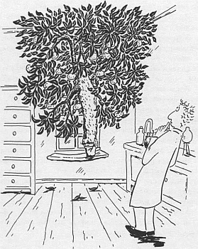 Иллюстрация к книге — Господин Белло и волшебный эликсир [_09.jpg]