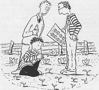 Иллюстрация к книге — Господин Белло и волшебный эликсир [_11.jpg]