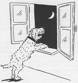 Иллюстрация к книге — Господин Белло и волшебный эликсир [_16.jpg]