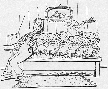 Иллюстрация к книге — Господин Белло и волшебный эликсир [_34.jpg]